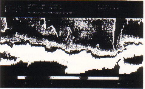 Figure  1. FRAM data displayed on a workstation