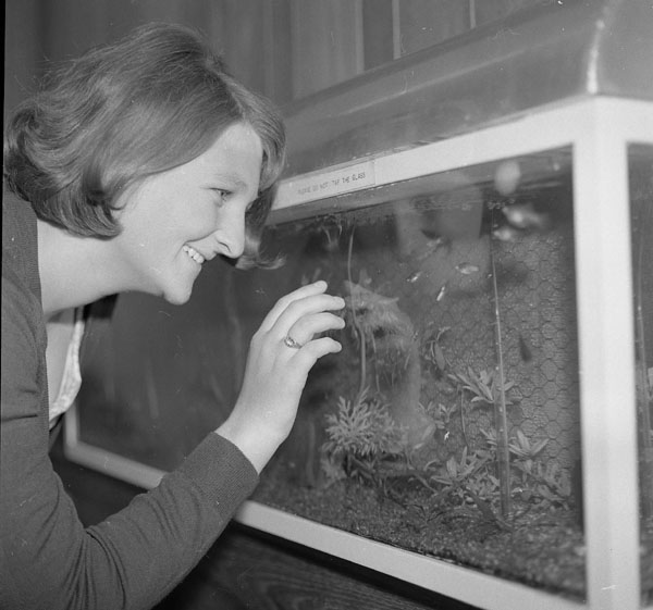 Gaynor Buckle admiring the fish